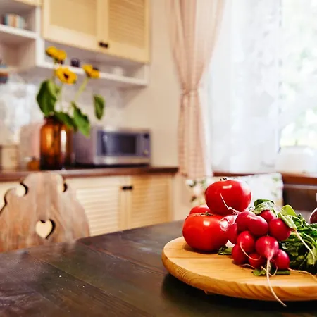Apartament Retrochata By Housine,pl *